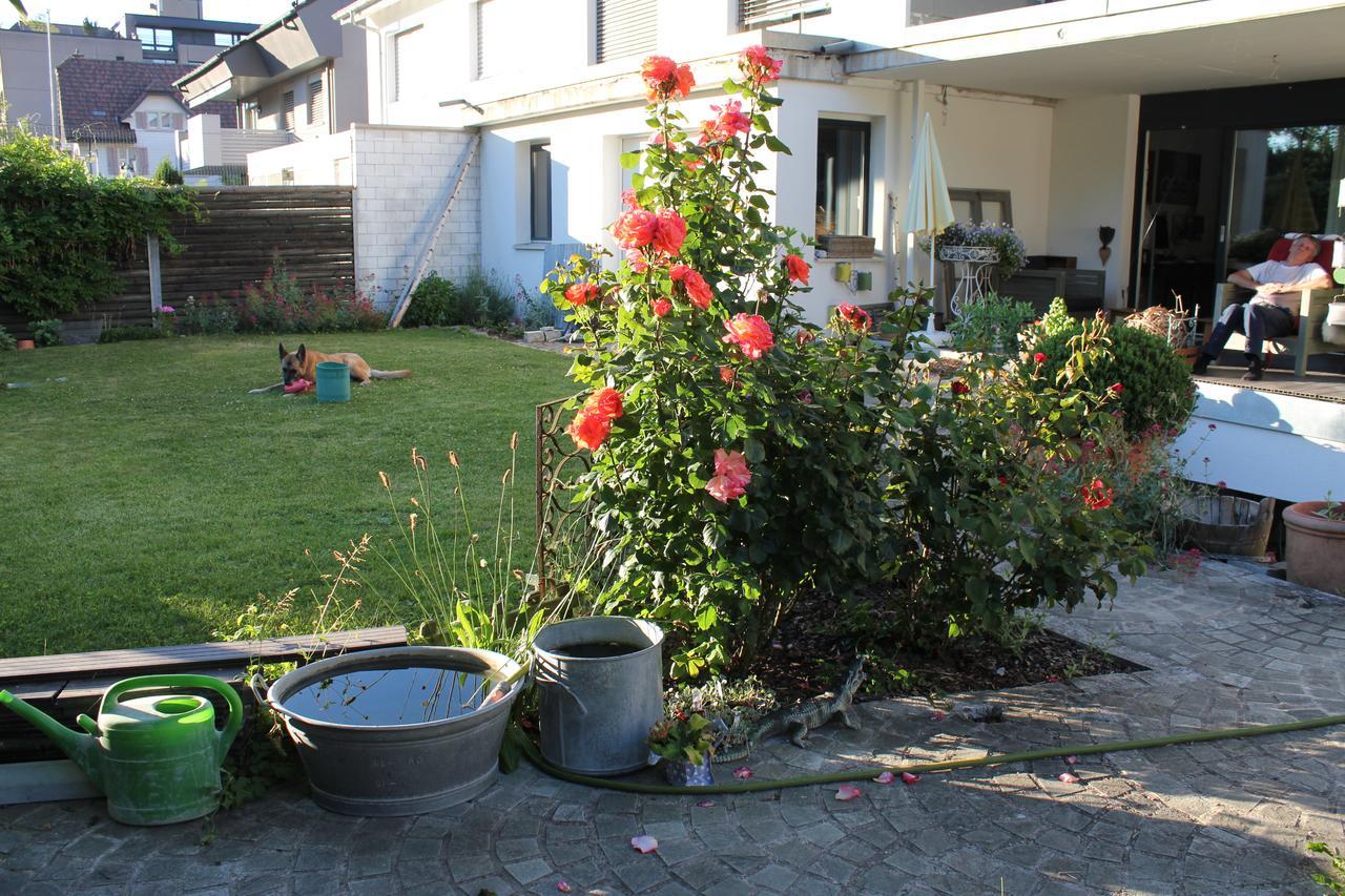 Wohnzopf Bed and Breakfast Bremgarten Esterno foto